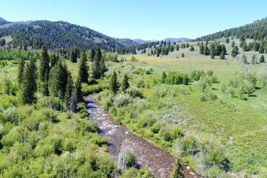 Idaho Ranch For Sale - Upper Sawmill Creek Ranch - Little Lost Valley, ID offered by Hall and Hall