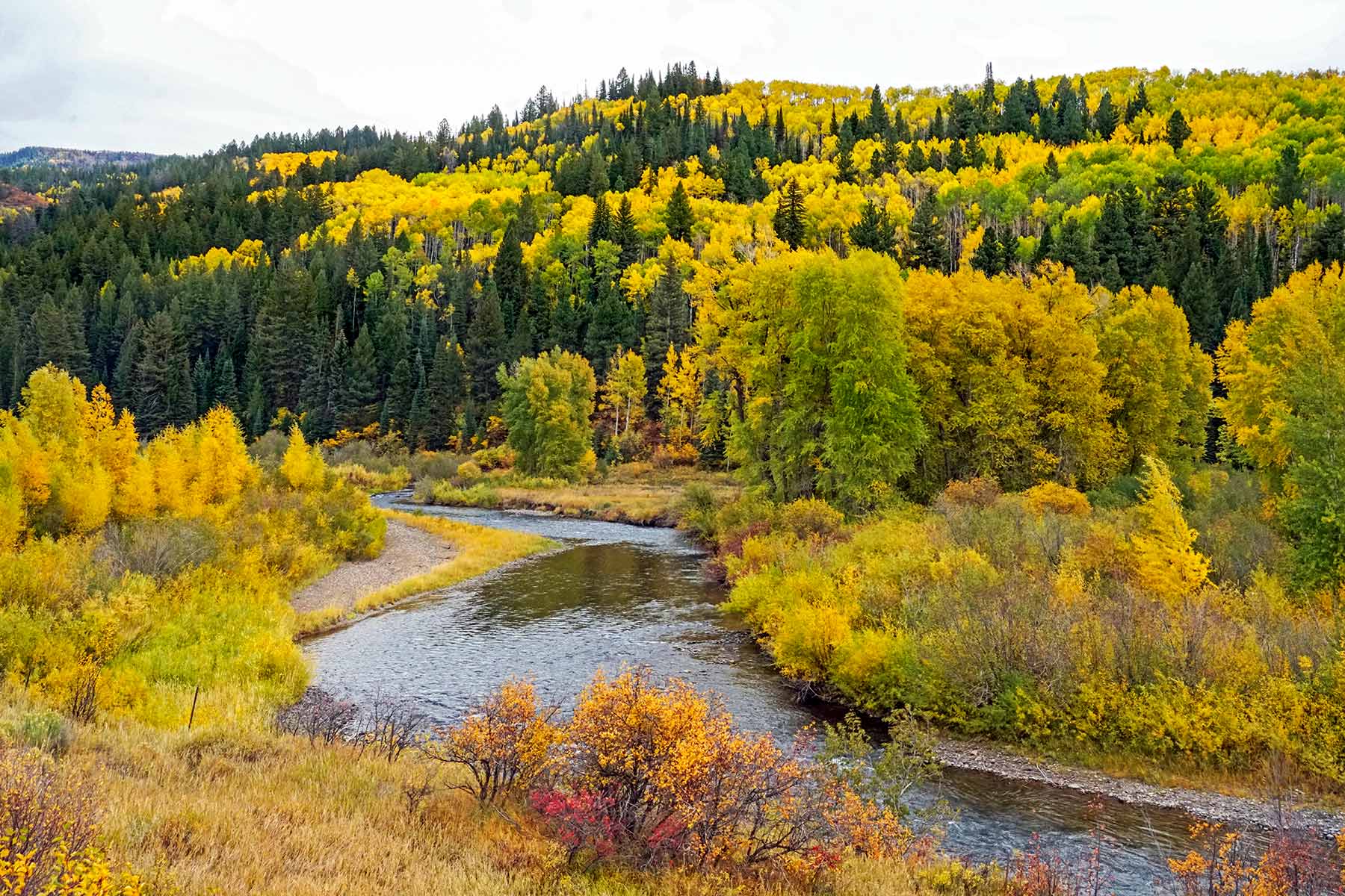 westlands093 Hall and Hall