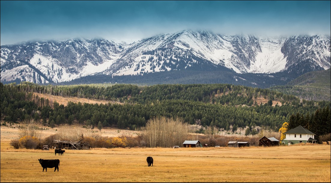 Winter Weather Affects Tomorrow's Crop Farming | Hall and Hall