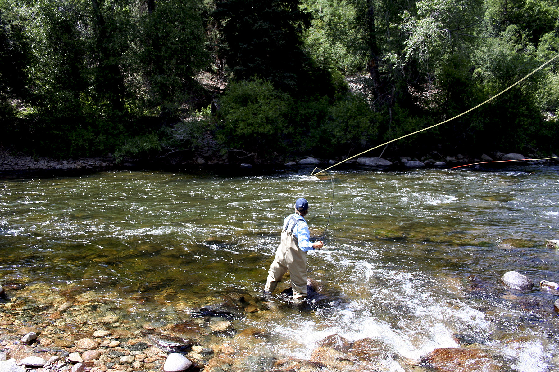 Top 5 Montana Trout Fishing Rivers - Hall and Hall