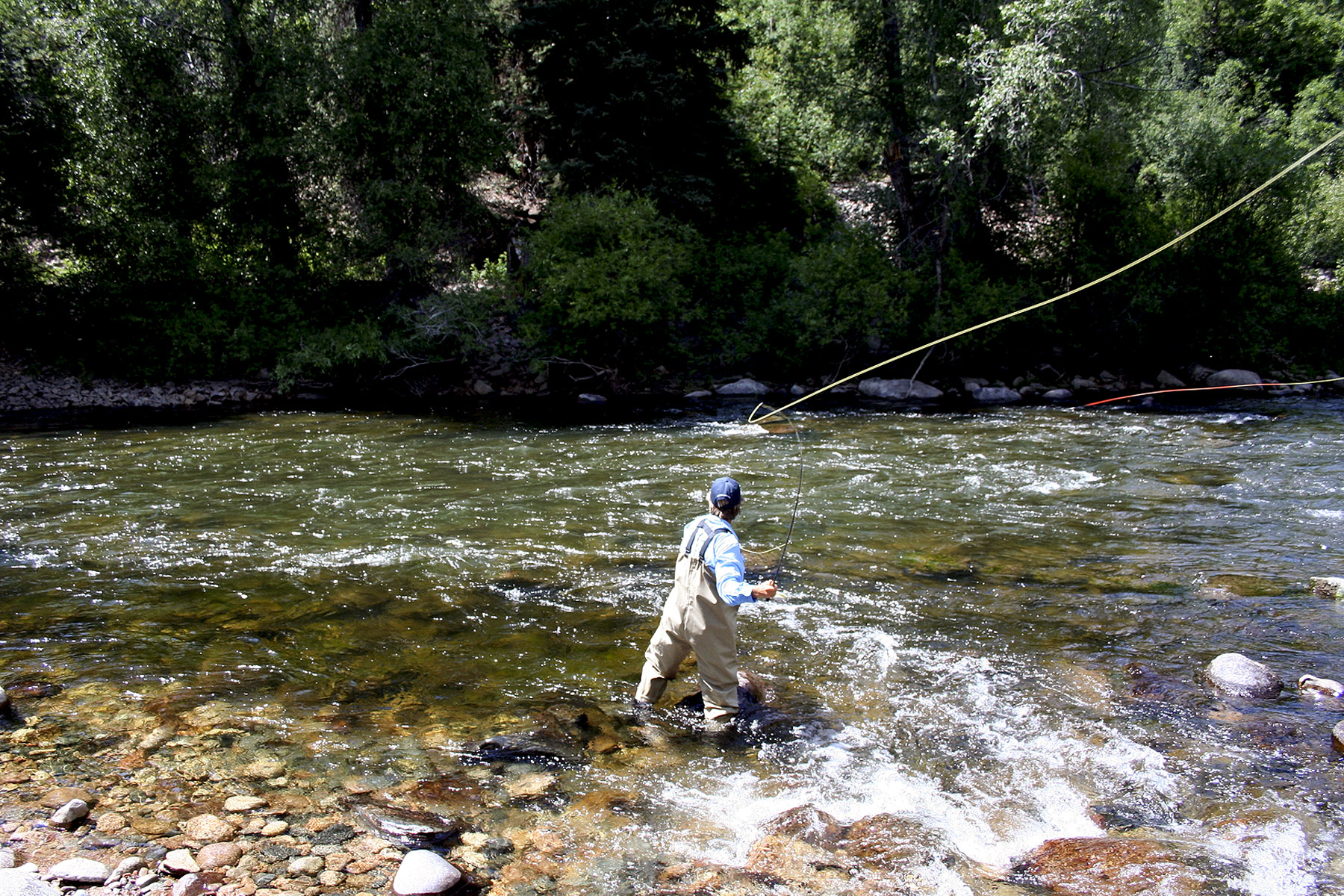 Montana Fly Fishing 