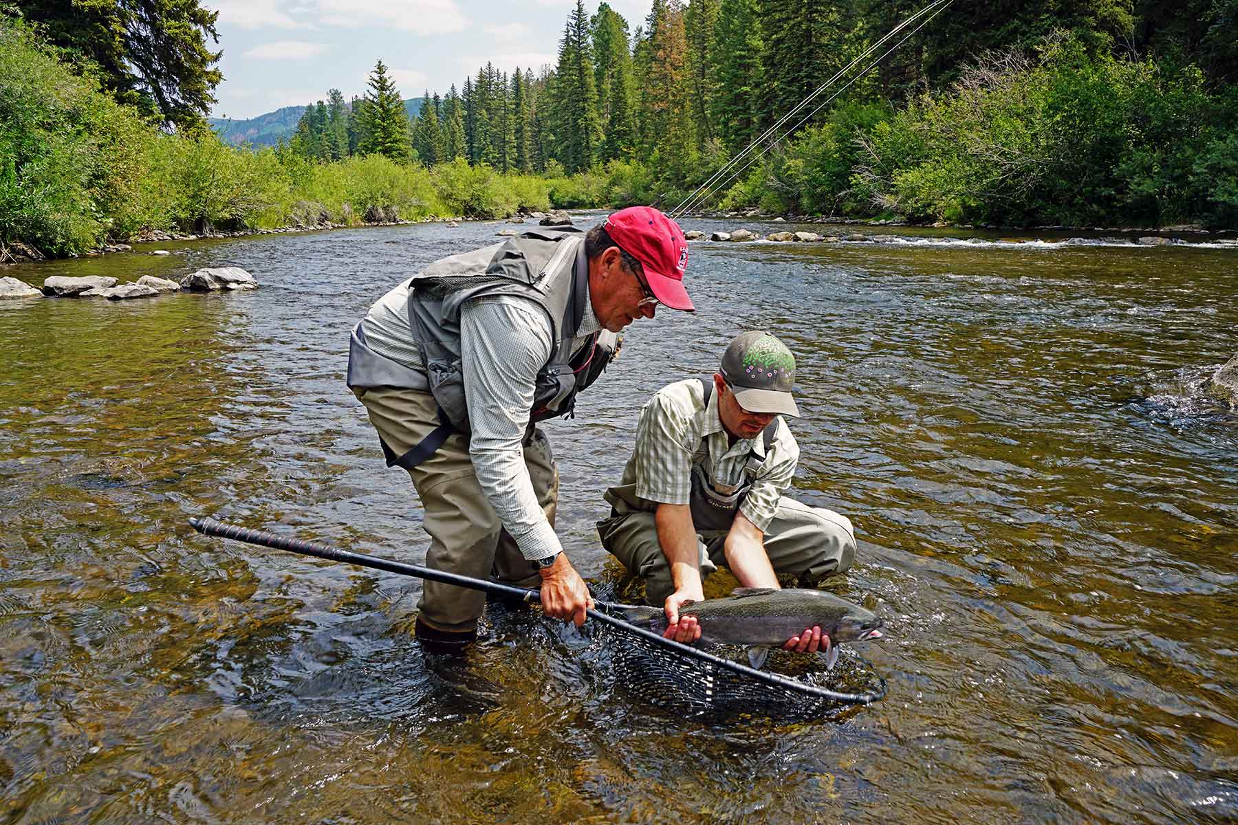 colorado trout fishing trip