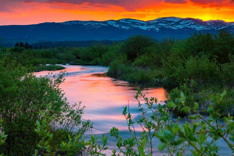 Top 5 Colorado Trout Fishing Rivers - Hall and Hall