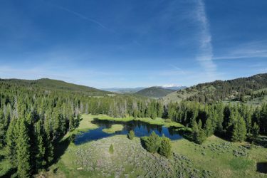 Montana Ranch For Sale - Bear Mountain Ranch - Wise River, MT offered by Hall and Hall
