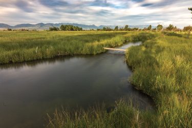 Ranches For Sale Schedule A Call With A Broker Hall And Hall