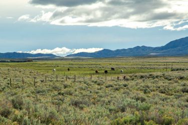 Wyoming Ranch For Sale - Stone Ranch - Rawlins, WY offered by Hall and Hall