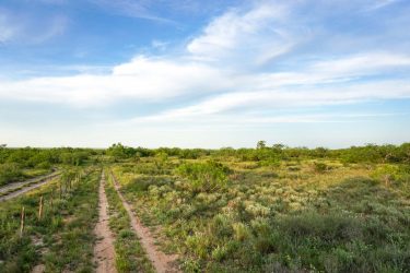 Texas Ranch For Sale - Quail Crossing Ranch - Laredo, TX offered by Hall and Hall