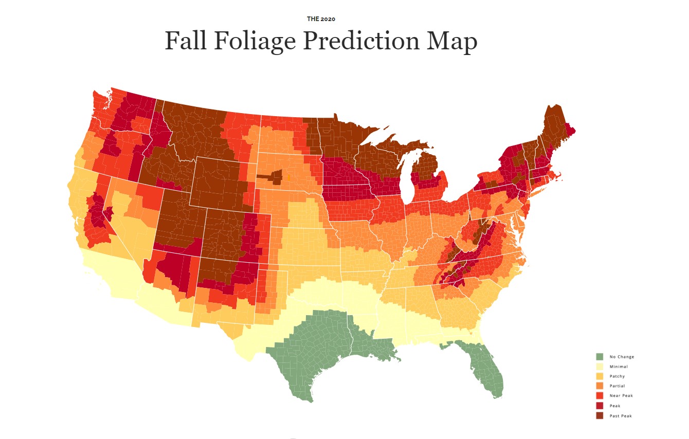 Fall Foliage Map Leaves Changing Color Hall And Hall