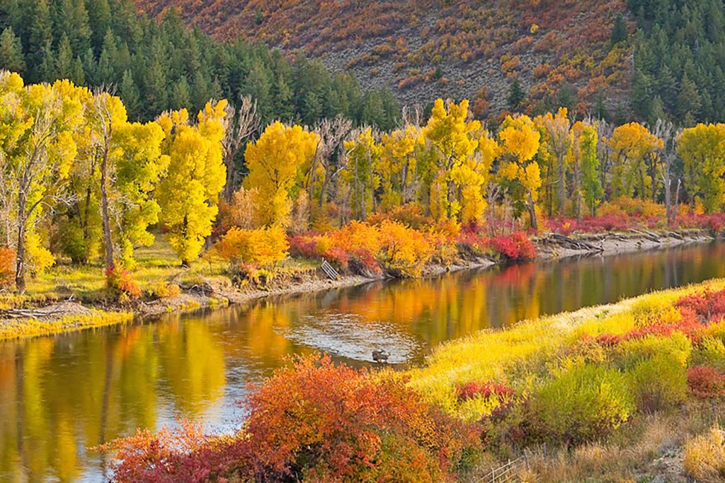 Fall Foliage Map Leaves Changing Color Hall & Hall