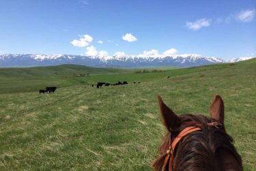 Montana Ranch For Sale - Lazy L Creek Ranch - Red Lodge, MT offered by Hall and Hall