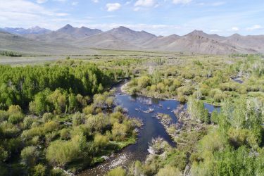 Idaho Ranch For Sale - Upper Antelope Creek Ranch - Mackay, ID offered by Hall and Hall