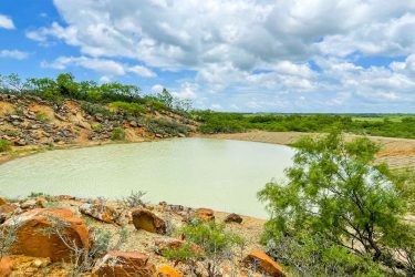 Texas Ranch For Sale - Willow Springs Ranch - Brownwood, TX offered by Hall and Hall