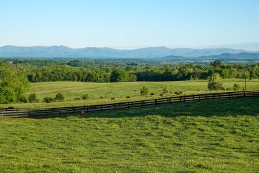 Virginia Ranch For Sale - Linden Farm - Orange, VA offered by Hall and Hall