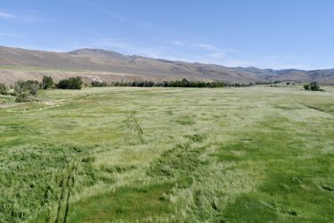 Idaho Ranch For Sale - Reynolds Creek Land Company - Murphy, ID offered by Hall and Hall