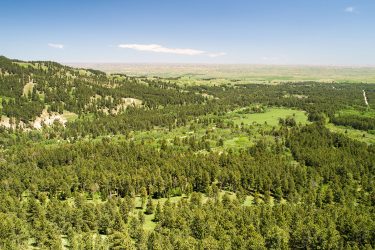 Wyoming Ranch For Sale - Red Tiger Springs - Story, WY offered by Hall and Hall