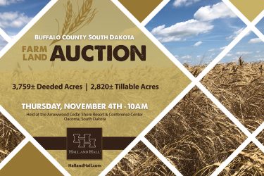 South Dakota Farm Auction - Buffalo County Farm Land - Buffalo Co., SD offered by Hall and Hall