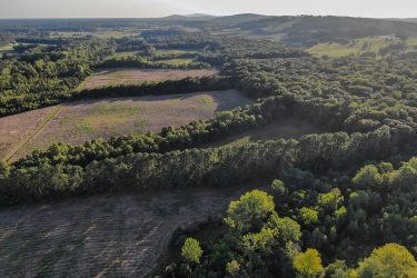 Virginia Ranch For Sale - Deerwood - Orange, VA offered by Hall and Hall