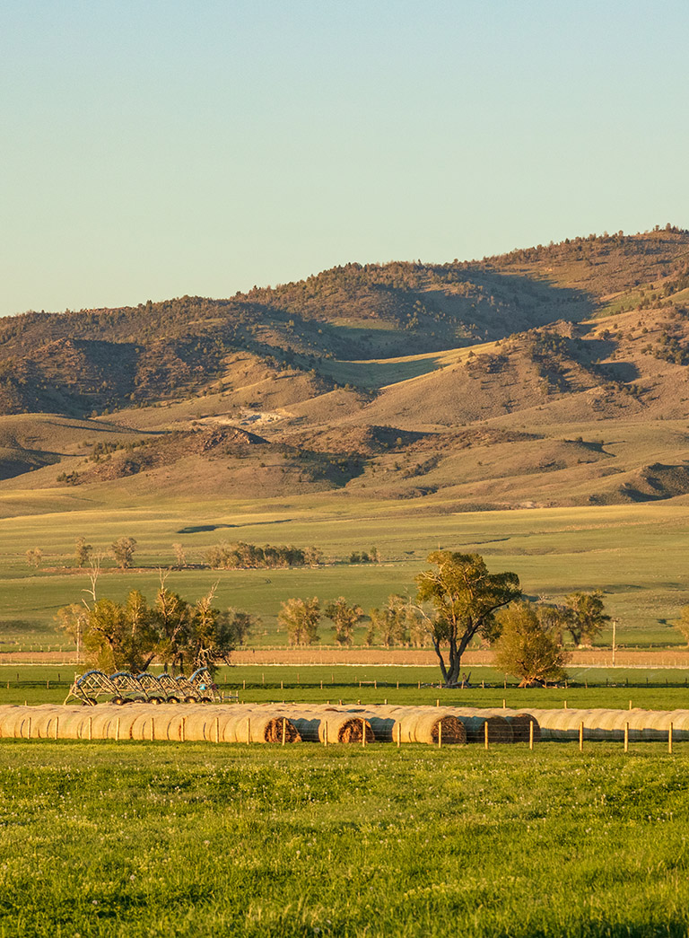 Beaverhead Ranch & a New Era of Ag Stewardship - Hall & Hall