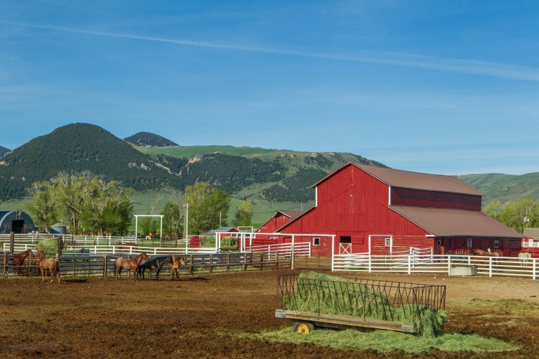 beaverhead ranch barn