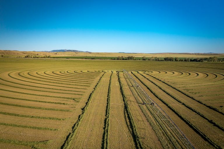 double c ranch landscape