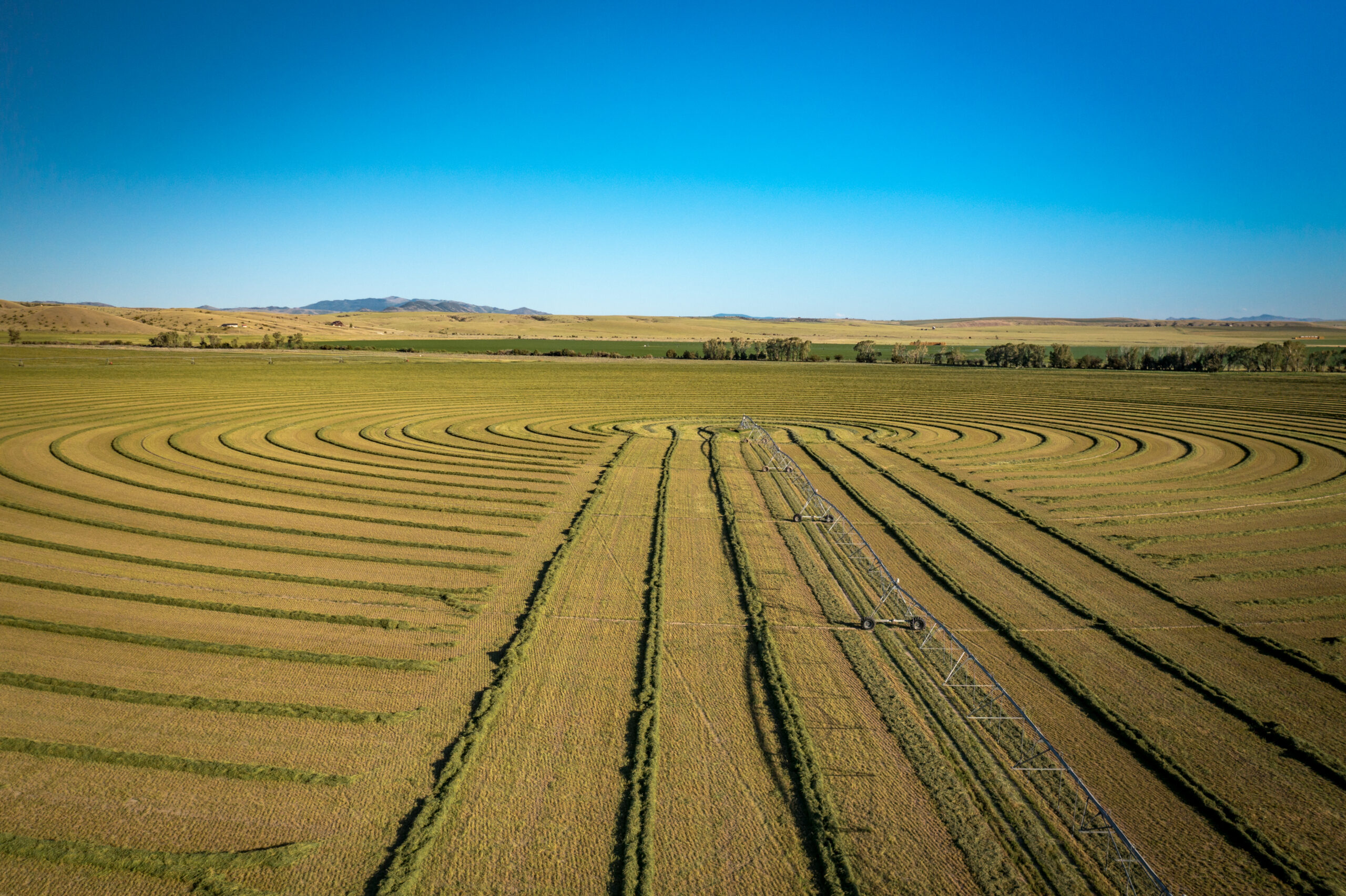 double c ranch landscape