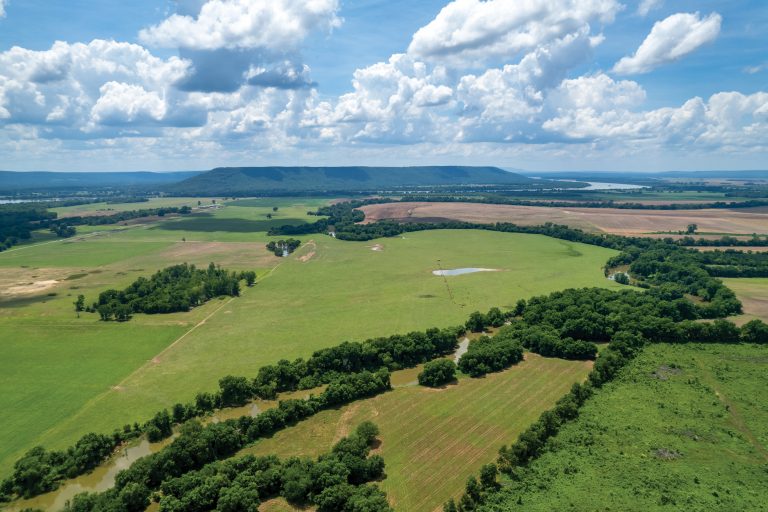 willow bend auction landscape