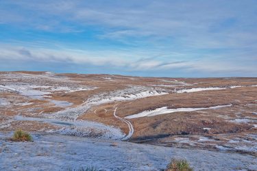 Montana Ranch For Sale - Salt Sage Coulee - Musselshell, MT offered by Hall and Hall