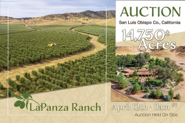 California Ranch Auction - La Panza Ranch - Santa Margarita, CA offered by Hall and Hall