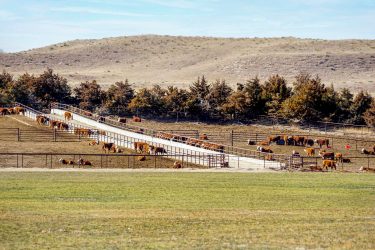 Nebraska Ranch For Sale - Diversified Sandhills Ranch - Lewellen, NE offered by Hall and Hall