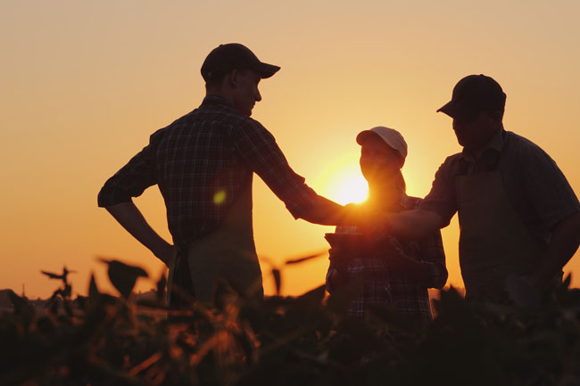 Handshake agreement in a cropfield