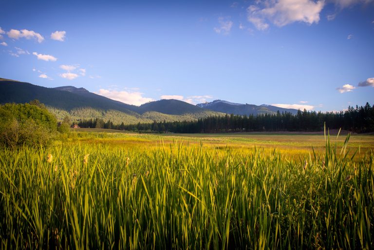 million gulch ranch landscape