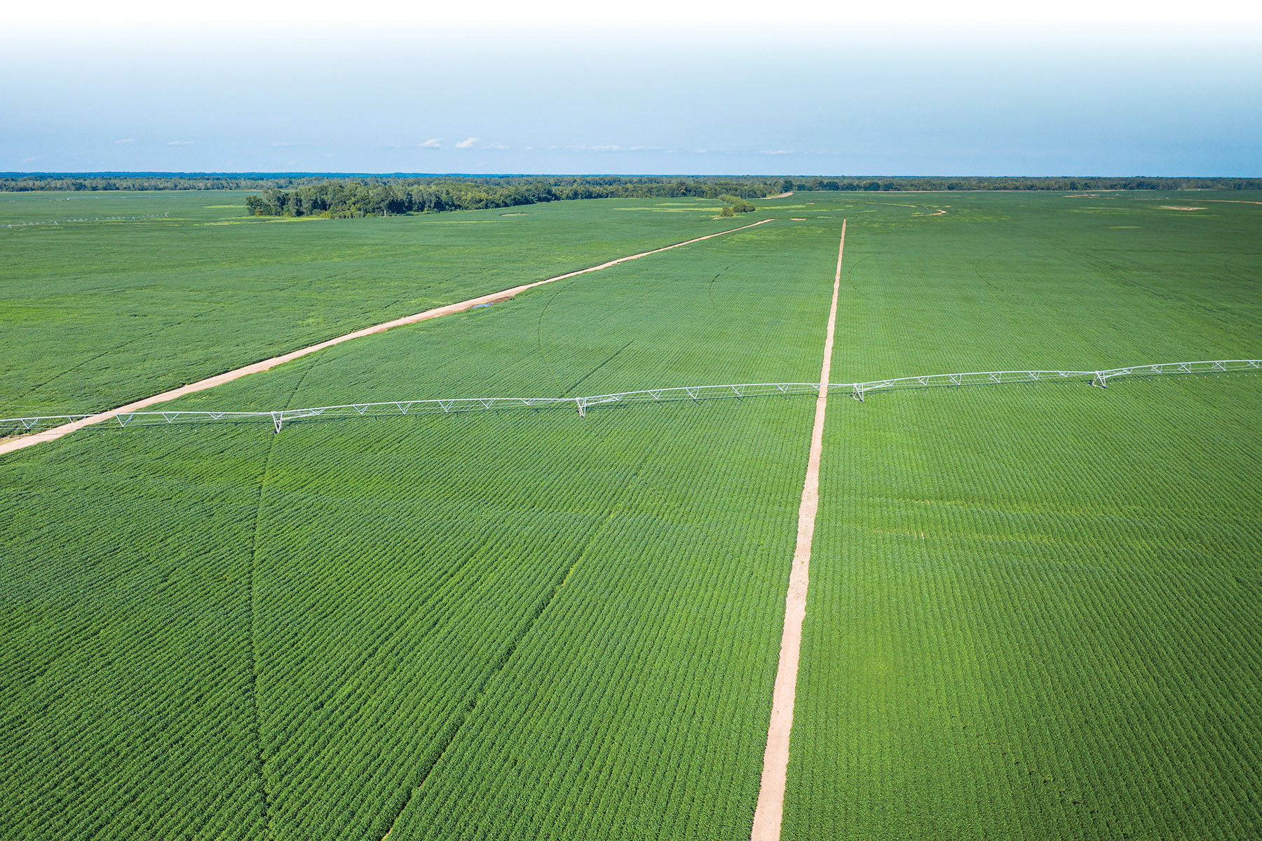 red river valley farm Hall and Hall