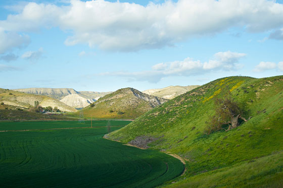 Ranch Fields