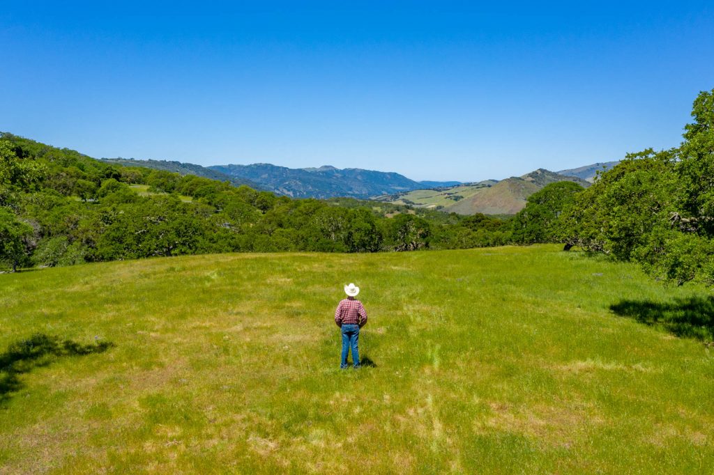 Man Contemplating in Field