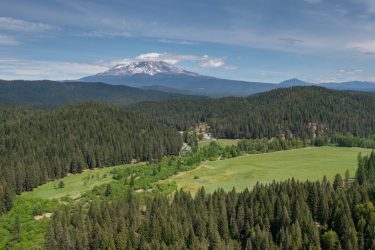 California Ranch For Sale - Willow Creek Ranch - McCloud, CA offered by Hall and Hall
