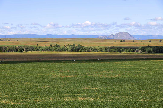 Bismarck Field and Mountain Views