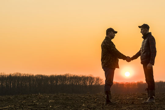 sunset handshake