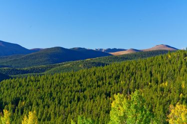 Colorado Ranch For Sale - Cascade Ranch - Idaho Springs, CO offered by Hall and Hall