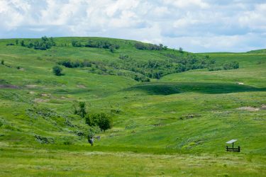 South Dakota Ranch For Sale - ZX Ranch - Buffalo, SD offered by Hall and Hall
