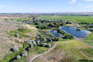 Idaho Ranch For Sale - Billingsley Creek Ranch - Hagerman, ID offered by Hall and Hall
