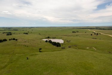 Kansas Ranch For Sale - Spur Ranch - Sedan, KS offered by Hall and Hall