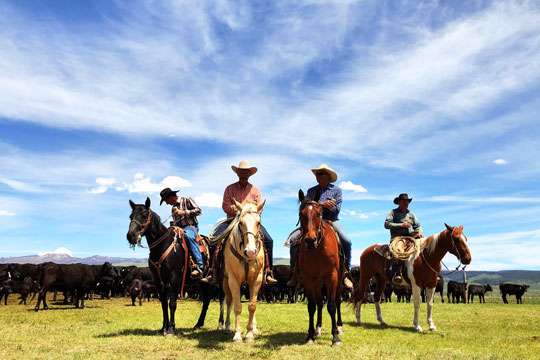 cowboys