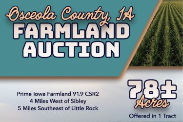Iowa Farm Auction - Osceola County Farmland - Sibley, IA offered by Hall and Hall