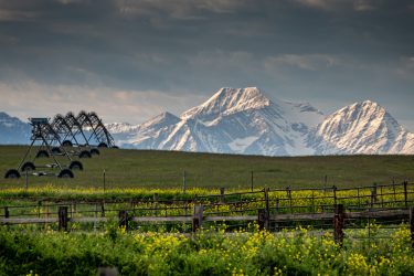 Montana Ranch For Sale - Valley View Ranch - Polson, MT offered by Hall and Hall