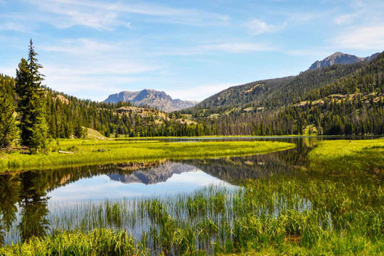 scenic riparian area