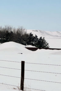 snow field