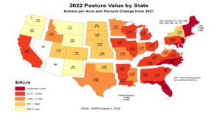 2022 Pasture Value