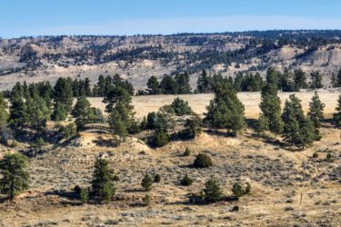 Cedar Creek Ranch - Sold - Montana - Hall and Hall