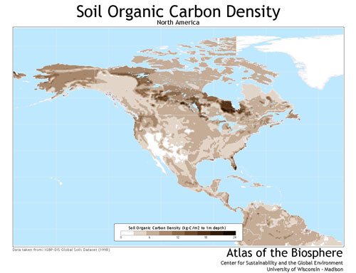 soil carbon