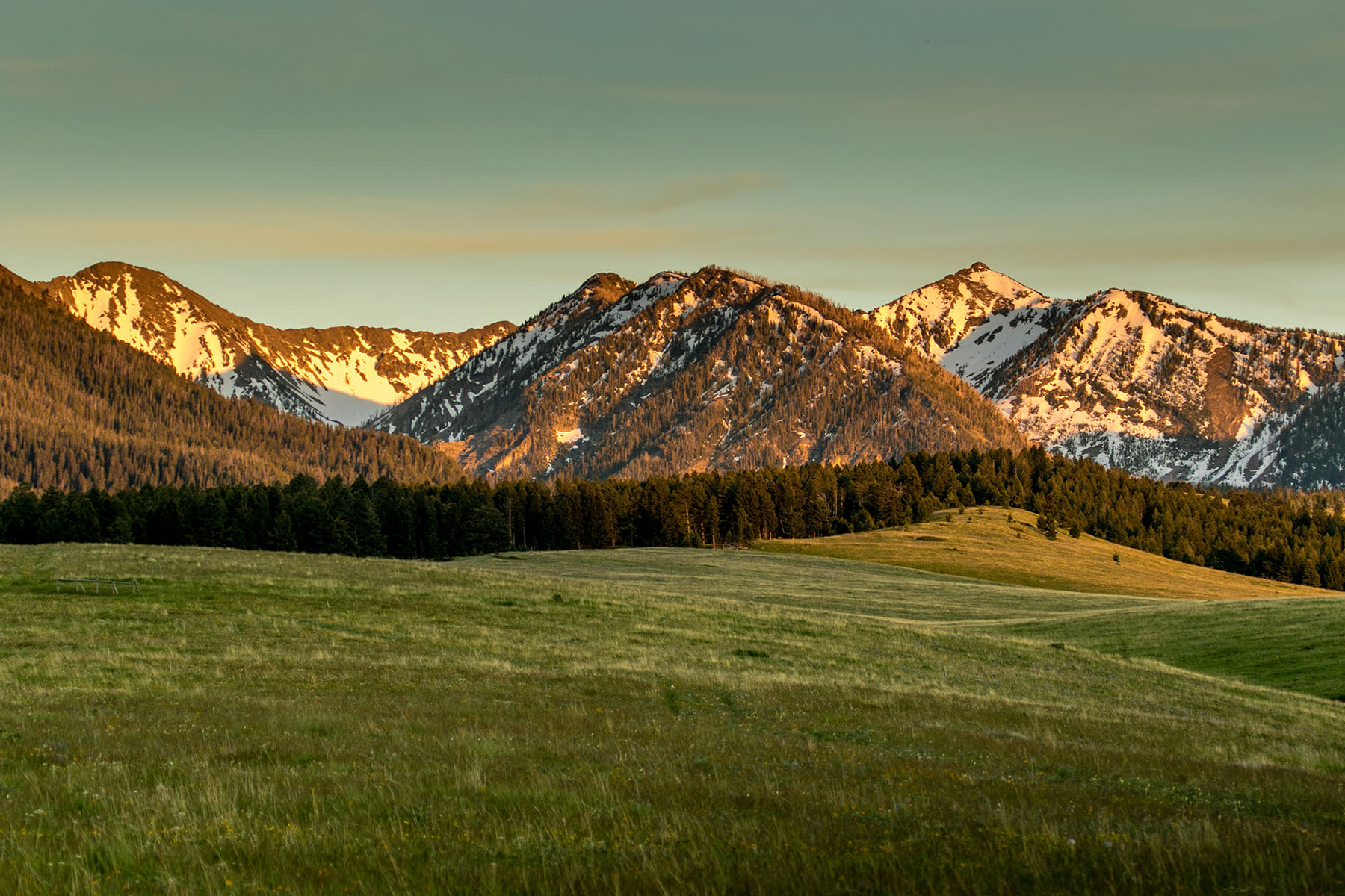 Lazy SR Ranch - Sold - Montana - Hall and Hall